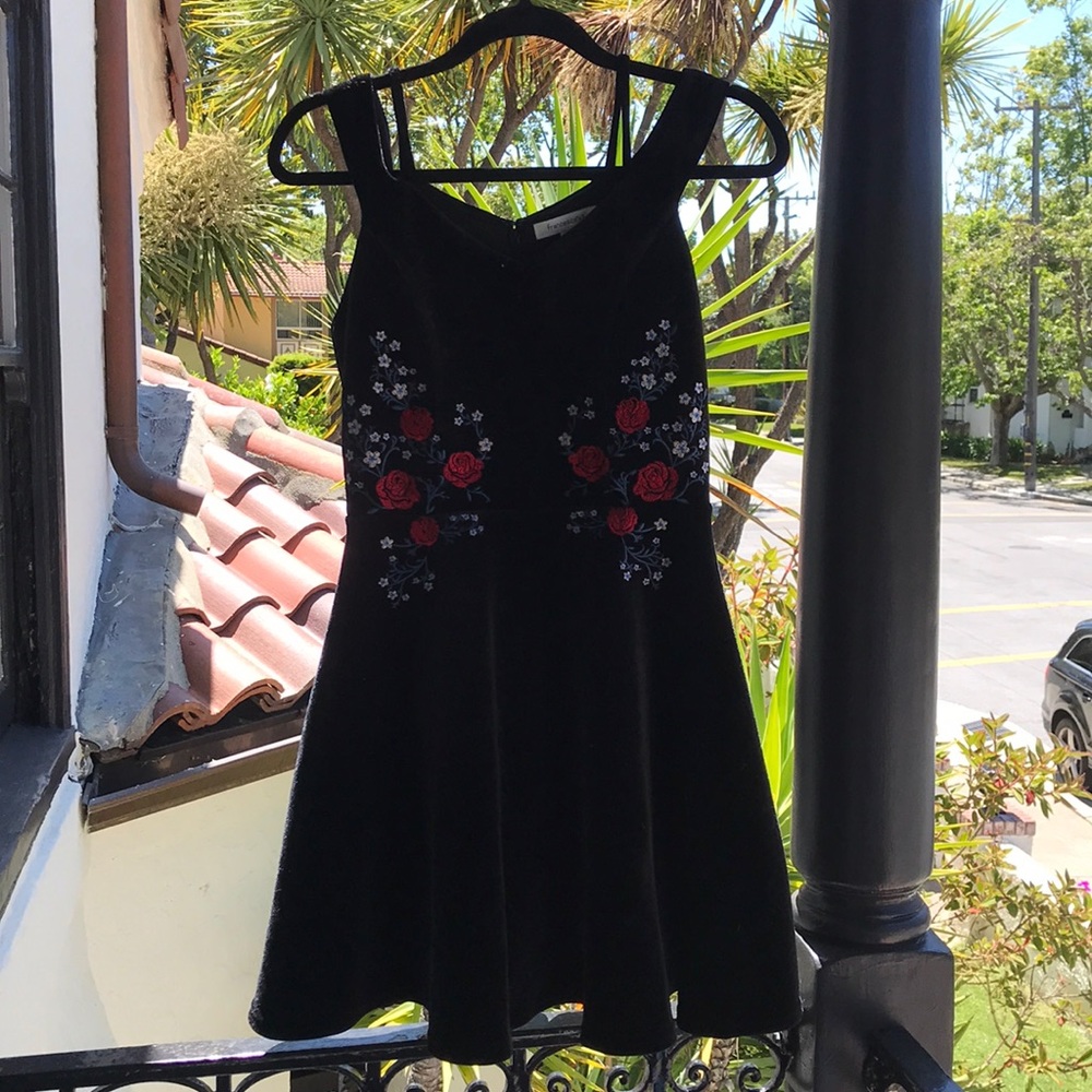 Francesca’s Velvet Rose Dress
